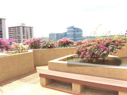 Dover Parkview (D5), Condominium #131289342